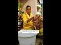 Download Lagu Self Watering Plant Hacks|4 Methods|2से3 दिन पानी नहीं देना पड़ेगा पोधो मे|#ashasgardenstory#shorts