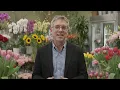 Carithers Flowers voted Best Florist Atlanta by Consumer Choice Awards Welcome to Carithers Flowers