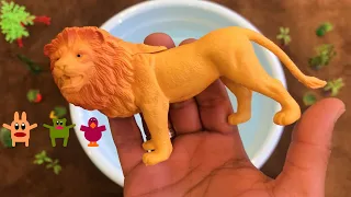 حيوانات الغابة للأطفال الحيوانات الحقيقية تعلم أسماء الحيوانات أصوات الحيوانات للأطفال ألعاب أطفال 