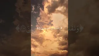 حالا واتس الجمعه اسلام صبحي ستوريات انستا ستوريات يوم الجمعه 