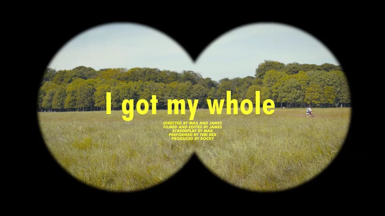 Tebi Rex - I Got My Whole (Wes Anderson Visualiser)