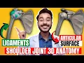 shoulder joint anatomy 3d | ligaments of shoulder joint | anatomy of shoulder joint ligaments