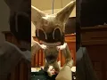 cartoon cat edit