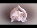 Download Lagu Towel Folding Flower Basket  | Towel  | Towel Origami | Towel Art in Housekeeping |