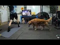 P90X stretch