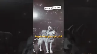 ذيب ذيب نيتو ديما مخدوعة Pubgmobile السعوديه Gaming 