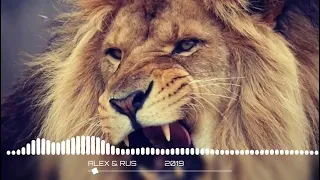 اغنية تيك توك Tik Tok المشهورة حركة الأسد Rimex  اغنية تيك توك Tik Tok المشهورة حركة الأسد Rimex