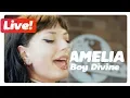 Lagu AMELIA - Boy Divine