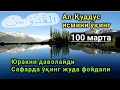 Ал-Қуддус исмини 100 марта ўқинг Қалбни даволайди.