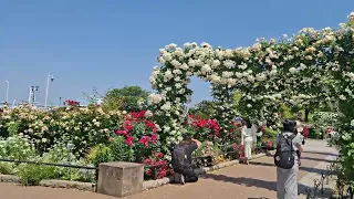                                                                           دندنها
