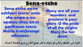              سينا اتشو           دندنها