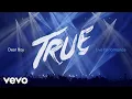 Download Lagu Avicii - Dear Boy (Live in Uncasville, True Tour 2014)