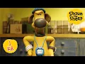Download Lagu It's Exercise Time! ⏱️ | 1 HOUR of Shaun the Sheep | Shaun the Sheep \u0026 Friends