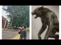 DAVID CRUZ FIRST TIME SPEAKS TALKS ALMOST KILLED BY CREATURE
