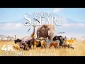 Download Lagu African Safari 4K • Wild Call with Peaceful Piano Music | Relaxation Film