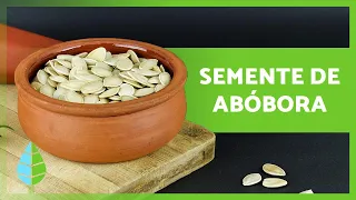 SEMENTE DE ABÓBORA 🎃 Propriedades, benefícios e como consumir 🧡