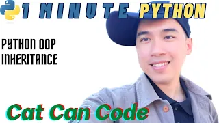 1 Minute Python OOP Inheritance Cat Can Code