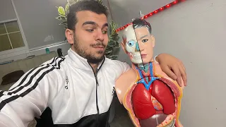 لى فقدت الشغف فى كلية الطب البشرى والتعيين والشغل 