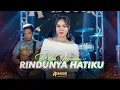 Download Lagu Rindunya Hatiku - Retno Veronica ft AP MUSIK