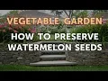 How to Preserve Watermelon Seeds