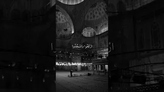 يا أيها الذين آمنوا اركعوا واسجدوا واعبدوا ربكم وافعلوا الخير لعلكم تفلحون سورة الحج علي جابر 