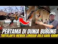 Download Lagu BELUM PERNAH ADA‼️ TROBOSAN BARU DUNIA BURUNG ADA TROTOLAN MEWAH DIGANTANG DULU BARU KIRIM‼️