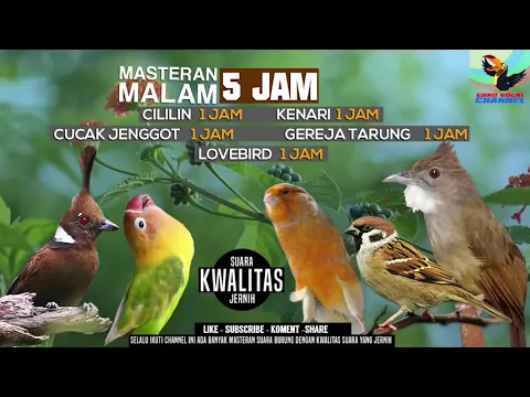 Download MP3 REQUEST MASTERING #22...5 JAM SETIAP BURUNG 30 MENIT -  CILILIN LOVEBIRD KENARI BURGER JENGGOT  JOSS