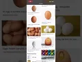Egg porn