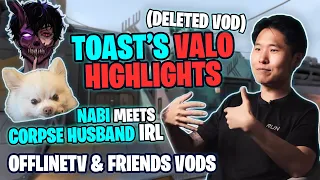 toasts deleted vod l karl betrays sykkuno rae u0026 hassan l nabi u0026 miyoung met corpse husband irl
