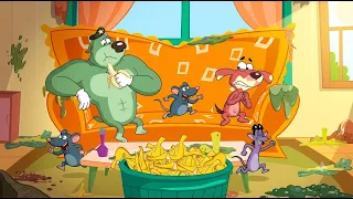 Dogs vs Rats: They Turned the House Into a Dirty Mess! 🐶🐀 : Dog vs Rats | Doggy Don | Rat A Tat