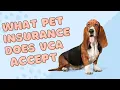 VCA Pet Insurance Review Coverage Details vca insurance