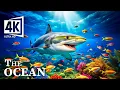 Download Lagu Timeless Ocean Views 4K VIDEO (ULTRA HD) - Relax and Watch the Rhythmic Tides, Relaxing Piano Music