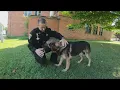 Chautauqua County Sheriff deputy and K-9 find missing 6-year-old