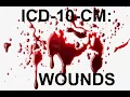ICD-10-CM Wounds and Other Injuries