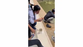 gara gara ikan ini mama buang belangan 