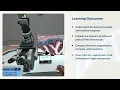 Light Microscopy Virtual Lab