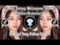 Download Lagu DJ AKU DATANG MELAMARMU KAN KU JADIKAN PERMAISURI | DJ RINDUNYA HATIKU VIRAL TIKTOK 2025 !