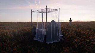 Chedly El Warda Li Nahki Aliha Feat Habib Chenkaoui 