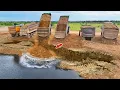 Lagu Great!!Unbelievable Land Sink !! Dump Trucks Try To Dumping And Recovery the Land With Bulldozer D60