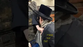 Motty Steinmetz Prays מוטי שטיינמץ מתפלל 
