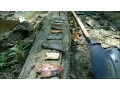 Arrowhead Hunting Secrets Of The Creek