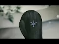 The science of snowflakes - Maruša Bradač