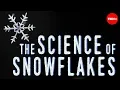 Download Lagu The science of snowflakes - Maruša Bradač