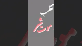 حاله واتس   استبعدوني من اي معارك   دندنها