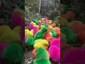 Anak ayam warna warni#ayamwarnawarni#ayamrainbow #ayam #anakayam #anakayamlucu #ayam