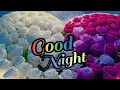 Good night images Best good night picture