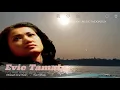 Dibawah Sinar Bulan - Evie Tamala