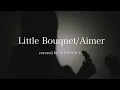 【Little Bouquet/Aimer】covered by サクヤサオリ【弾き語り】映画「羅小黒戦記２」日本版主題歌