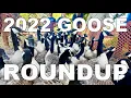 How Do Canada Geese Get Banded 2022 KY Goose Roundup