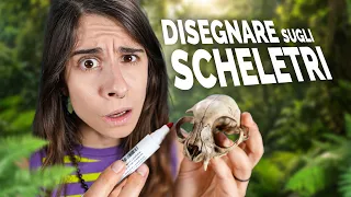 Riesci a RICONOSCERE gli ANIMALI solo dallo SCHELETRO? 🐸